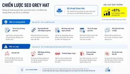Các kỹ thuật Grey Hat SEO phổ biến và mức rủi ro